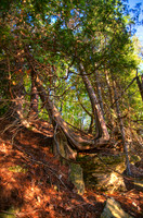 Bluff05