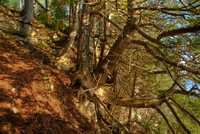 Bluff04