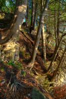 Bluff03