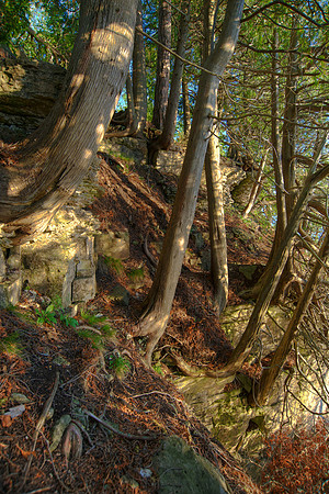 Bluff03