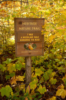 FallColor-4503