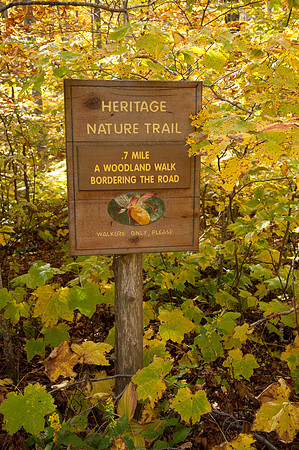 FallColor-4503