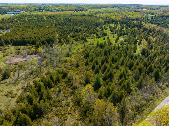 Country Lane 35 Acres Drone Photos-33