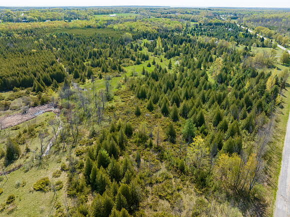 Country Lane 35 Acres Drone Photos-34