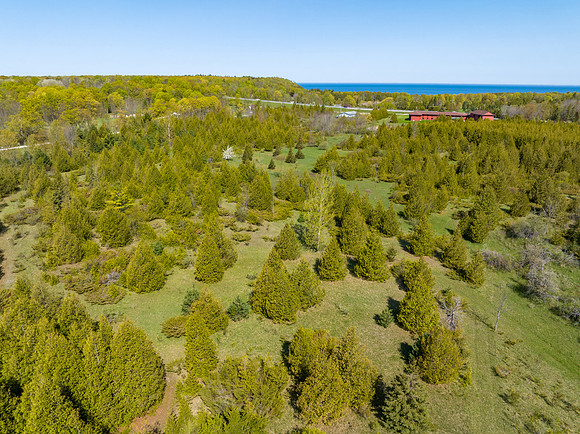 Country Lane 35 Acres Drone Photos-15