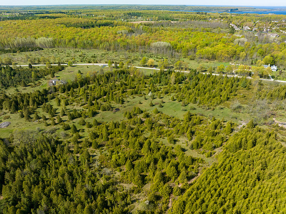Country Lane 35 Acres Drone Photos-6