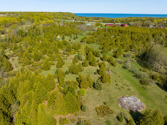 Country Lane 35 Acres Drone Photos-14
