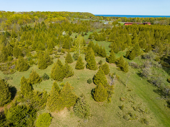 Country Lane 35 Acres Drone Photos-17
