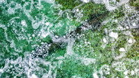 Fleetwing Under Ice 2023-10