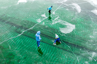 Frozen Fleetwing Ice Skaters-15