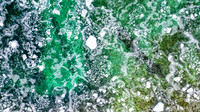 Fleetwing Under Ice 2023-3