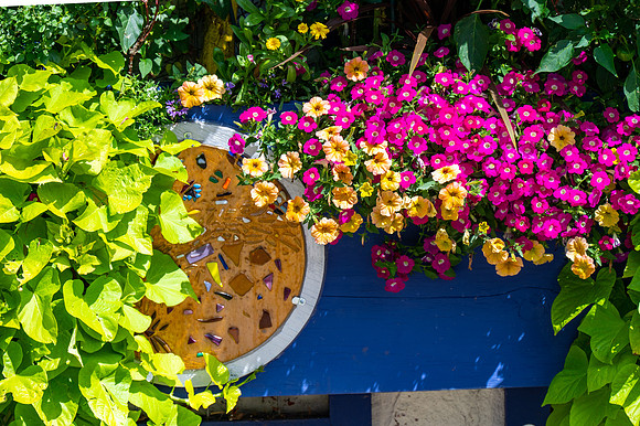 Enclave Flowers-12