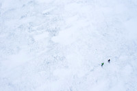 02-10-2021-Dan Eggert-Eagle Harbor Ski-7