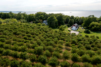 PedersOrchard-71-HDR