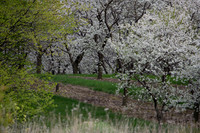 Newport Door County-495