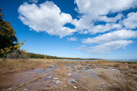FossilBeach-7