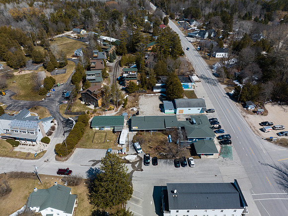 Blue Bear Before-20