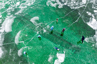 Frozen Fleetwing Ice Skaters-37