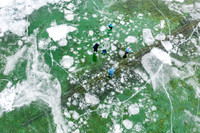 Frozen Fleetwing Ice Skaters-17