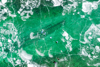Frozen Fleetwing Ice Skaters-23