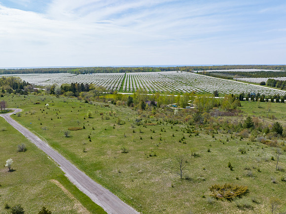 Whataview Lot-1