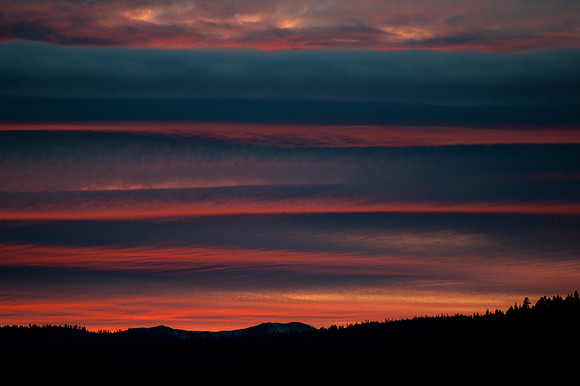 TextureCloud-341