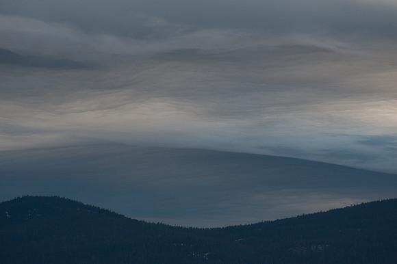 TextureCloud-184