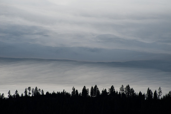 TextureCloud-53