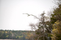 Newport Door County-420