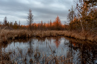 mud-42-HDR-2