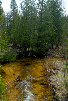 MudLake0408