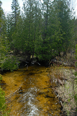 MudLake0408