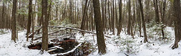 1stSnow-165-HDR-Pano