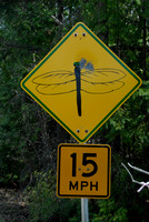 MudLake0397