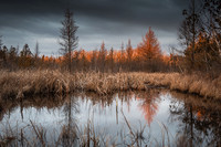mud-42-HDR