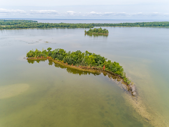 DCLTCI-213