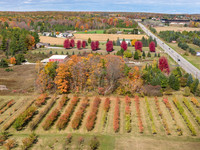 DC Fall Good Color Droning-271-HDR
