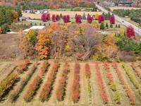 DC Fall Good Color Droning-276-HDR