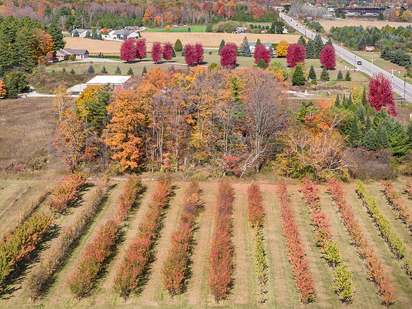 DC Fall Good Color Droning-276-HDR