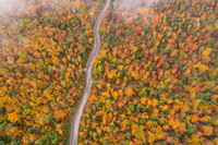 CurvyRoadFog-50