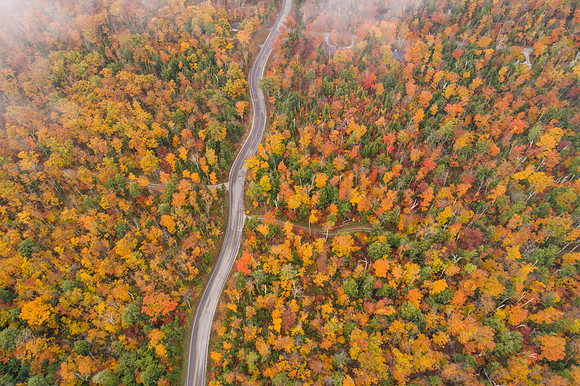 CurvyRoadFog-50