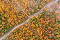 CurvyRoadFog-52