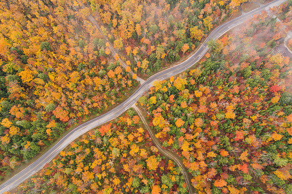 CurvyRoadFog-52