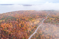 CurvyRoadFog-81