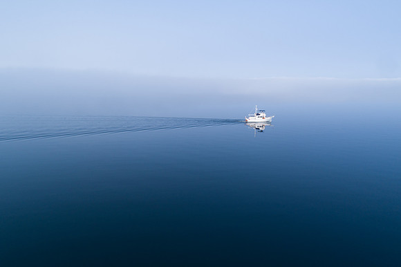 FogMorning-105