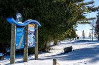 Sunny Snow Day-7