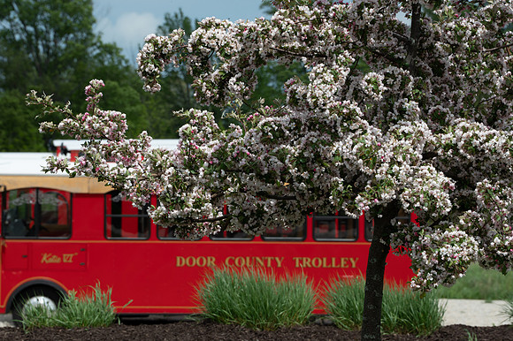 EggTrollyB-38