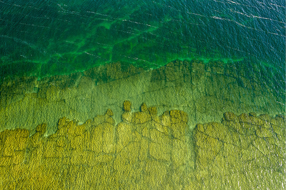 Bani Gills-443-HDR
