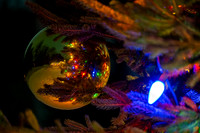 Holiday Lights-49