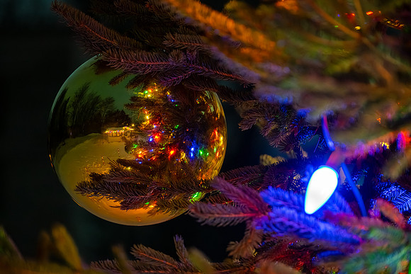 Holiday Lights-49